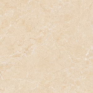 Signature Natural Floor Tile
