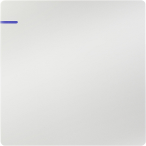 Maxborn 9001-A